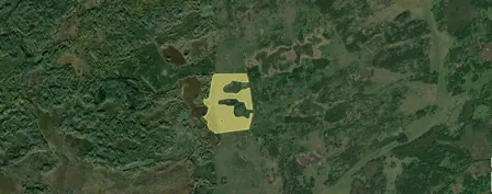 Аренда, земельный участок 443 403 кв.м, с/х, КН 55:27:020403:114