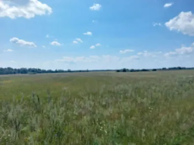 Продажа, земельный участок 1 890 000 кв.м, с/х, п. Стандровское, КН 13:20:0309001:162
