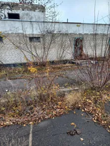 Аренда, нежилое помещение 21,3 кв.м, г. Алмазная, КН 95:32:0301015:191