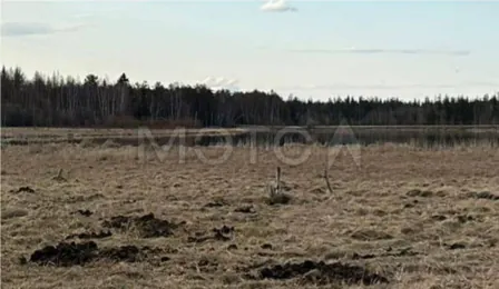 Продажа, земельный участок, КН 14:26:014002:123