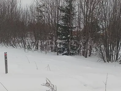 Продажа, 1/20 доли, земельный участок, д. Ершевская, КН 29:08:081301:170