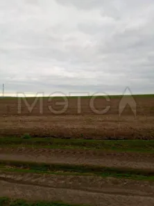Продажа, 2/27 доли, земельный участок 615 599 кв.м, с. Шигали, КН 21:19:260201:404