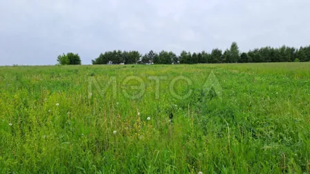 Продажа, земельный участок 2 357 кв.м, ЛПХ, КН 21:23:120611:190