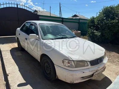Продажа, Toyota Corolla, 1999 года, 100 лс, 338435 км, АКПП