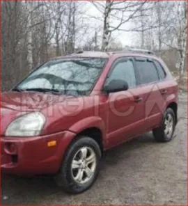 Продажа, Hyundai Tucson, 2004 года, 141 лс, 263718 км, VIN KM8JM12B85U103076