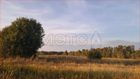 Продажа, земельный участок 800 кв.м, д. Якшино, КН 50:36:0020216:16