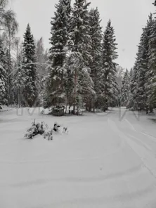 Продажа, 1/8 доли, земельный участок 2 504 кв.м, с. Катанда, КН 04:08:080404:224