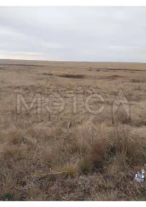 Продажа, 1/6 доли, земельный участок 351 600 кв.м, Кваркенский р-н, КН 56:13:1312011:219