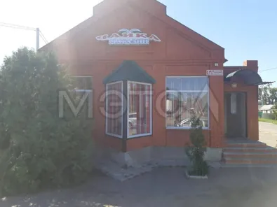 Продажа, здание 57,3 кв.м с земельным участком, г. Калач, КН 36:10:0100205:47