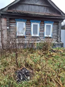 Продажа, 1/2 доли, земельный участок 52 кв.м, д. Борисовка, КН 58:07:0460201:232