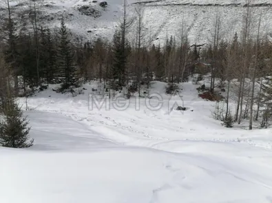 Продажа, 1/4 доли, земельный участок 1 491 кв.м, с. Акташ, КН 04:09:020402:578
