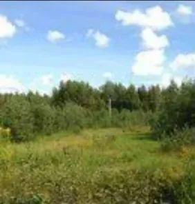 Продажа, земельный участок 1 199 кв.м, Гатчинский р-н, КН 47:23:2304003:56